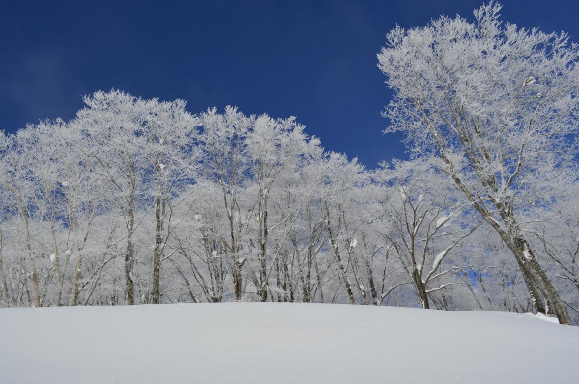 B&B Santana Hakuba Kültér fotó